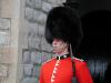 Beefeater 4_thumb.jpg 2.1K